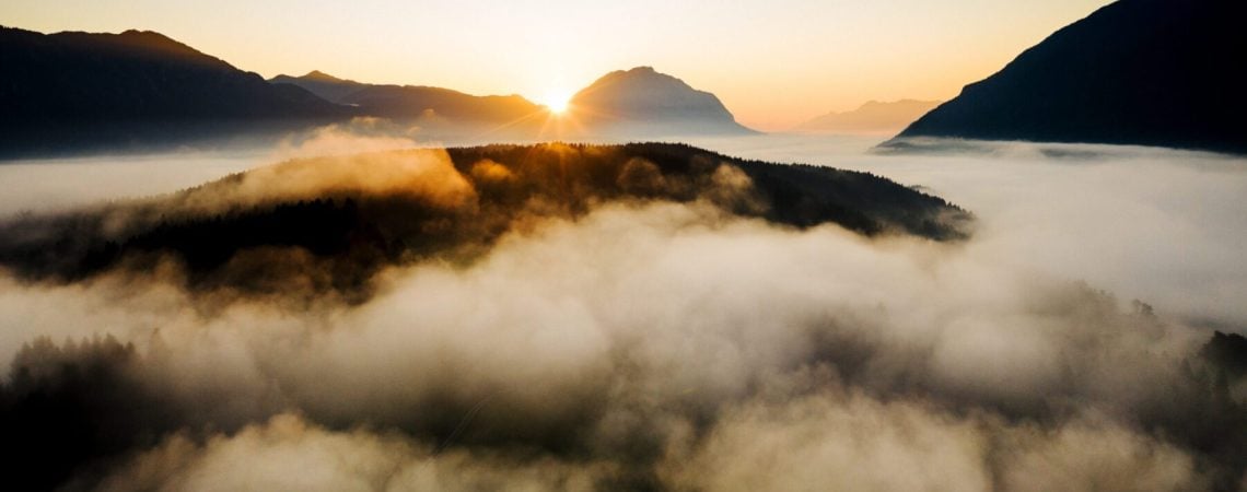 Prannabis_andreas_schuller_Kärnten-30